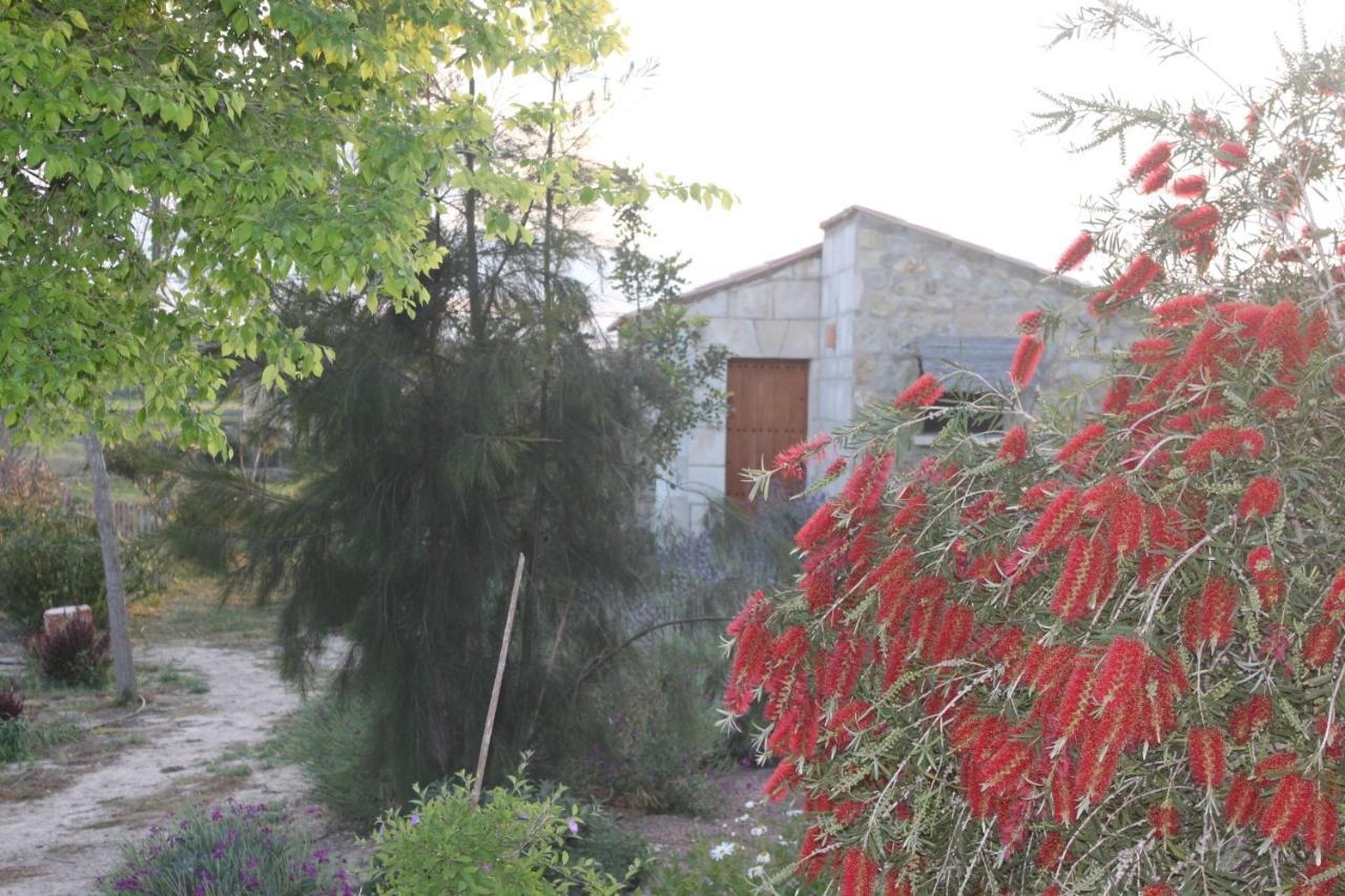 Agroturisme Es Raco De Maria María de la Salud Exterior foto