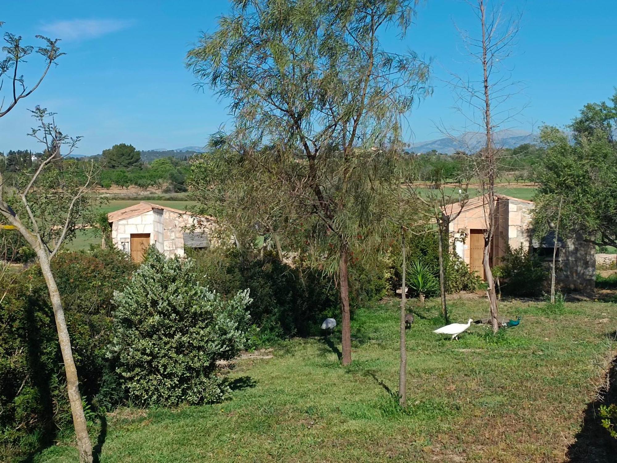 Agroturisme Es Raco De Maria María de la Salud Exterior foto